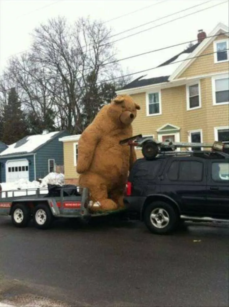 Picdump 878 - #21 