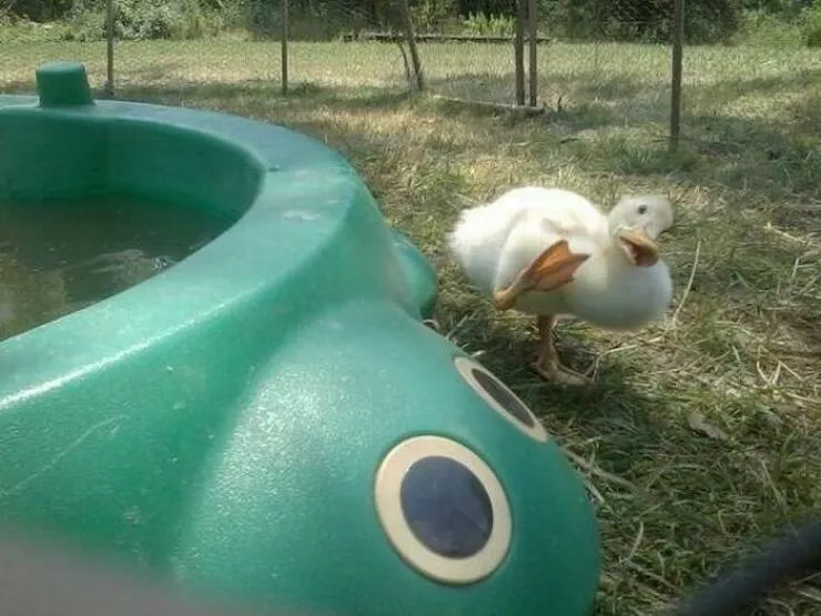 Picdump 879 - #12 