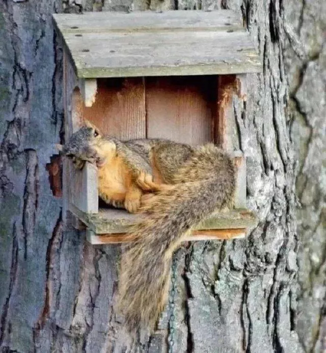 Picdump 879 - #28 