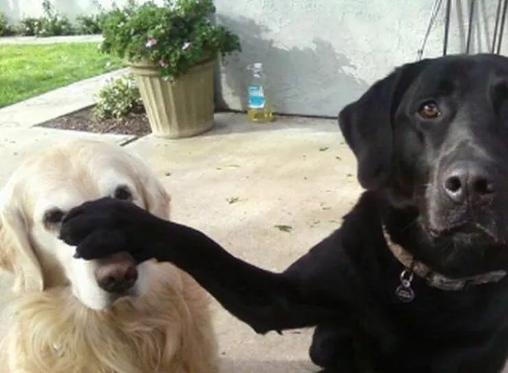 Picdump 879 - #30 