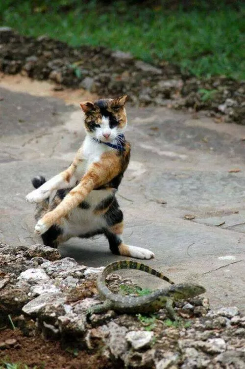 Picdump 879 - #52 