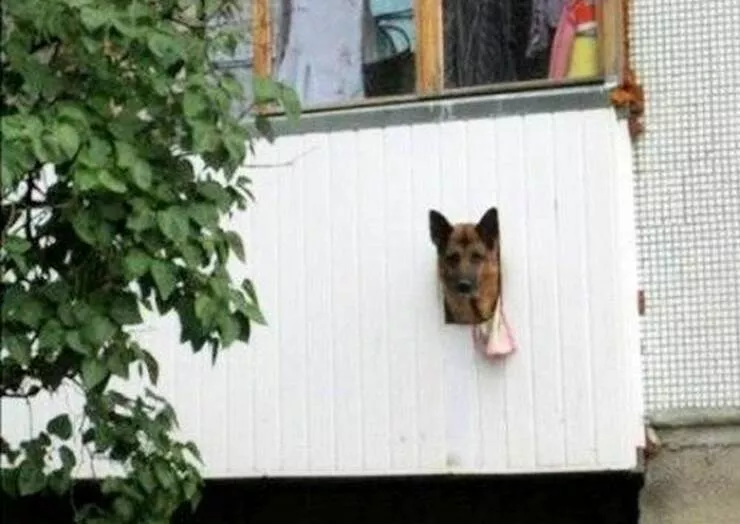 Picdump 879 - #54 