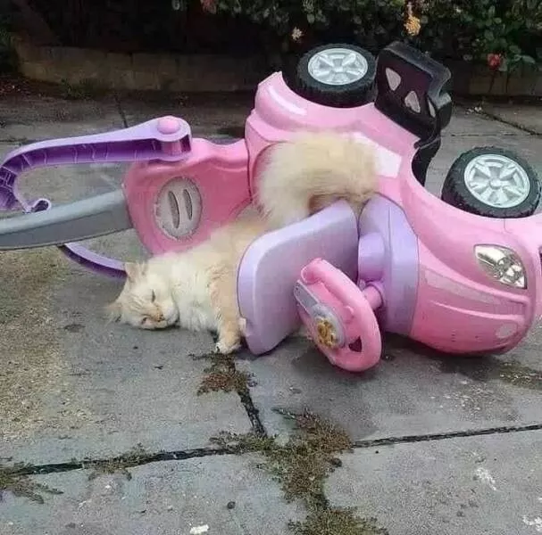 Picdump 879 - #59 