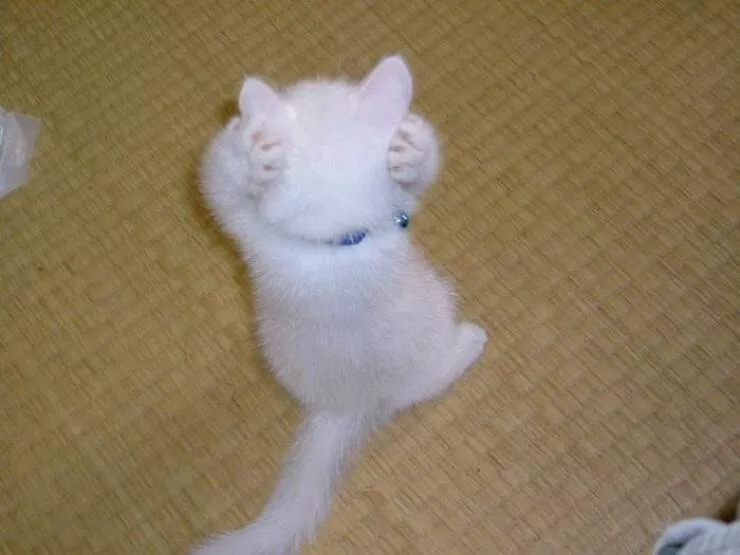 Picdump 879 - #8 