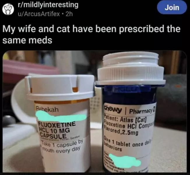Top reddit posts of the week must see highlights - #16 
