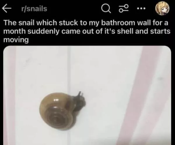 Top reddit posts of the week must see highlights - #27 