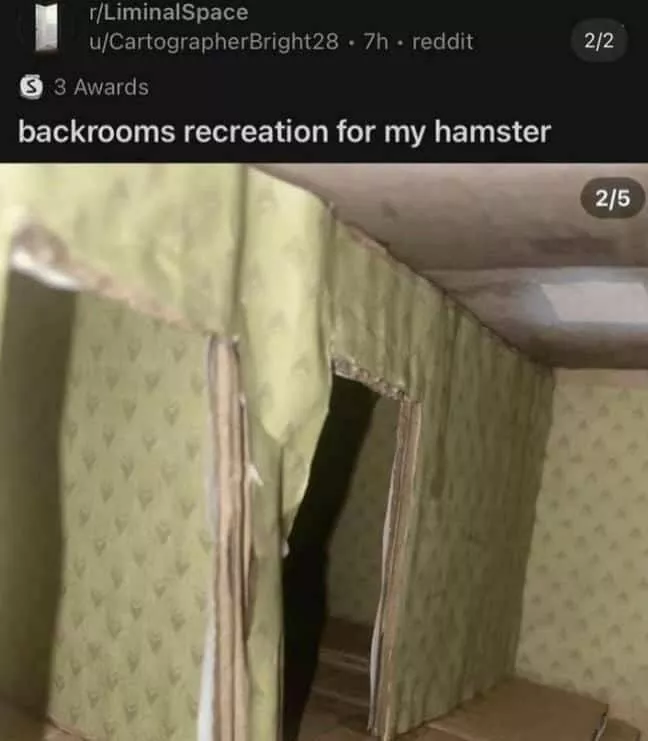 Top reddit posts of the week must see highlights - #4 