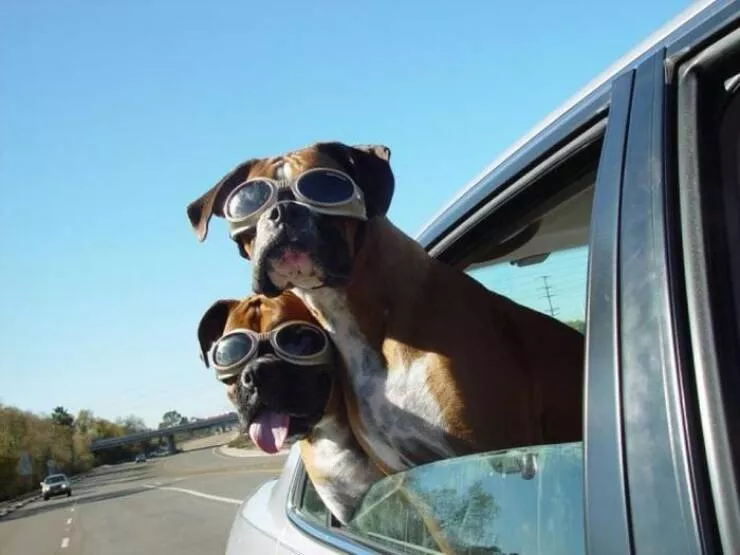 Picdump 880 - #24 