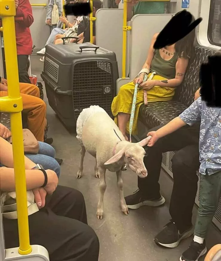 Picdump 880 - #36 