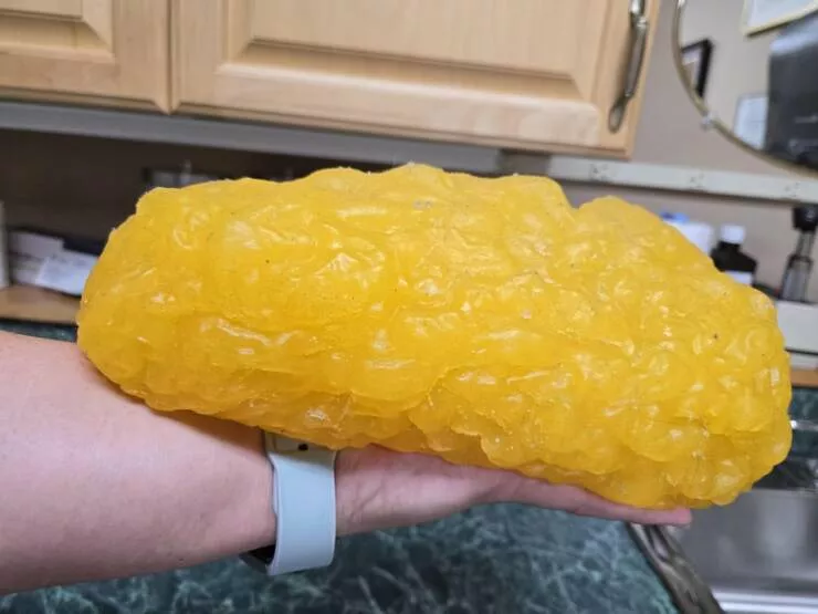 Intriguing photos that captivate your attention - #20 This is what 5 pounds of fat looks like in your hand (made of rubber)