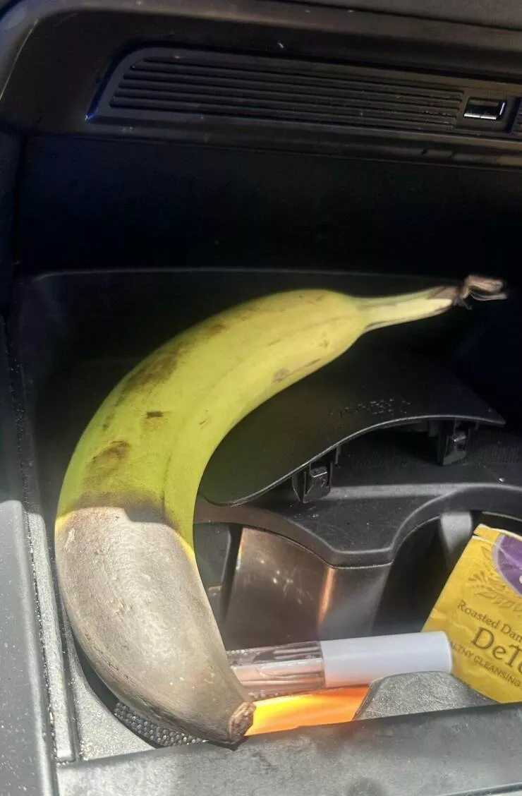 Intriguing photos that captivate your attention - #27 The Florida sun turned this banana black in just 2 hours