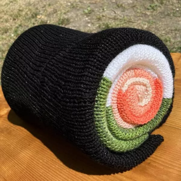 Intriguing photos that captivate your attention - #3 I made a blanket that rolls up to look like sushi