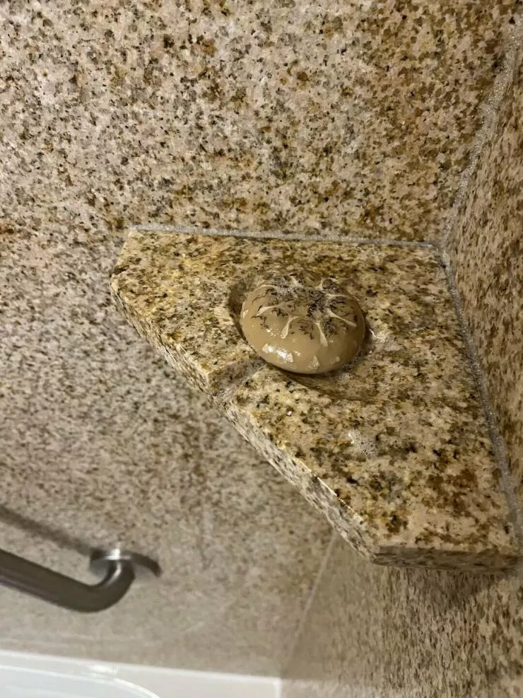 Intriguing photos that captivate your attention - #33 My face soap perfectly matches the shower wall