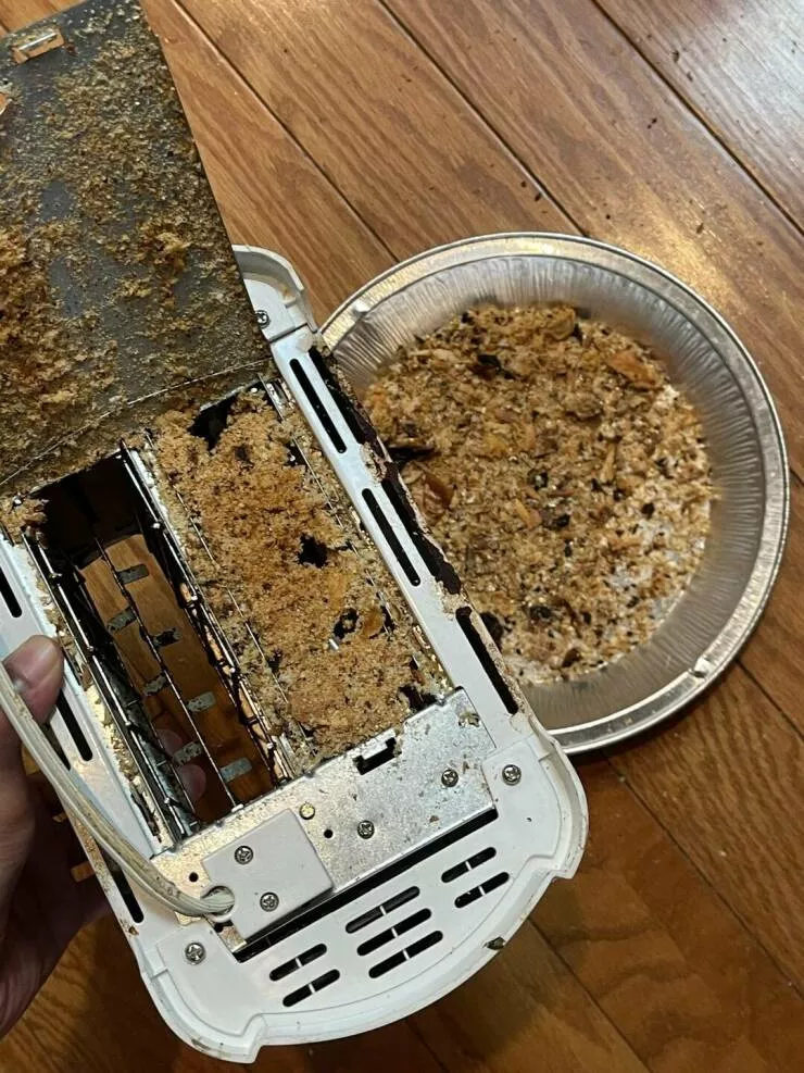 Intriguing photos that captivate your attention - #4 This toaster hasn't been emptied in years
