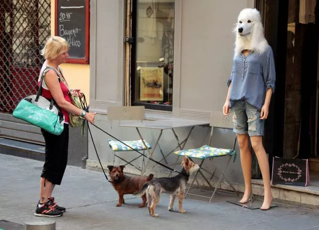 Picdump 114 - #19 