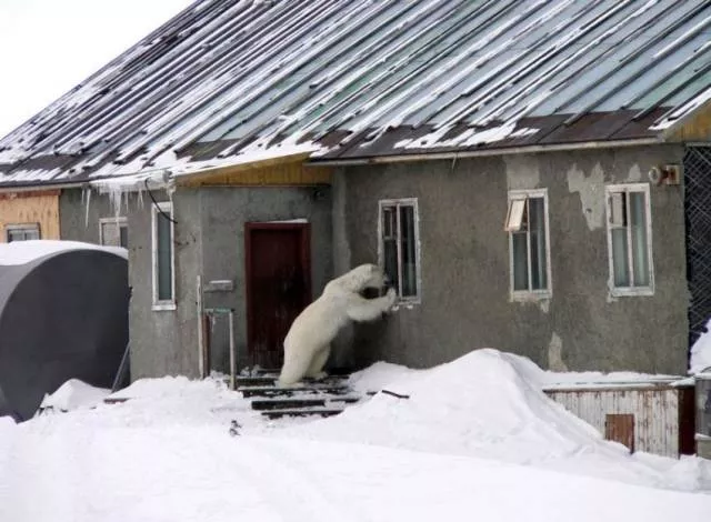 Picdump 114 - #20 