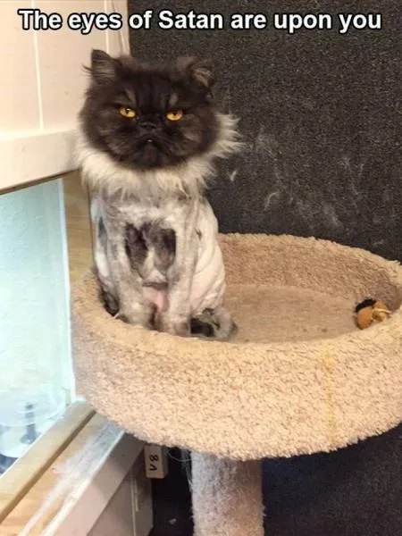 Picdump 114 - #33 