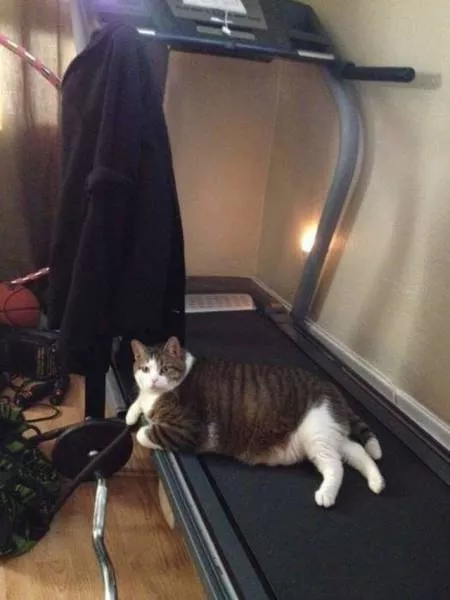 Picdump 114 - #52 