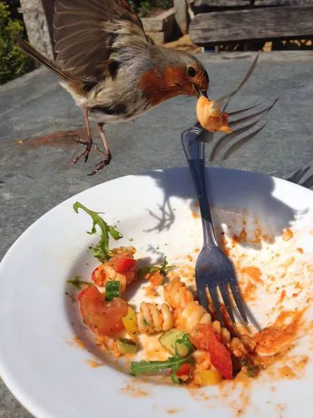 Picdump 114 - #58 