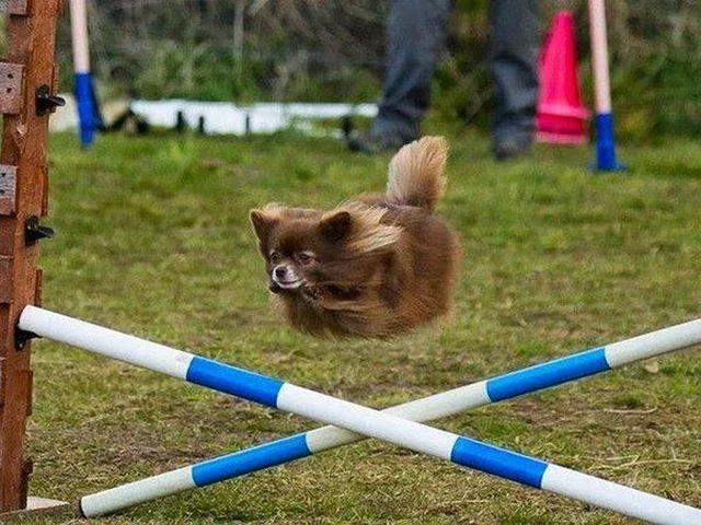 Picdump 114 - #9 
