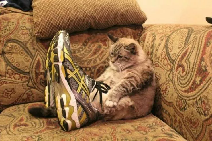 Picdump 881 - #11 