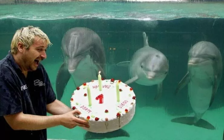 Picdump 881 - #20 
