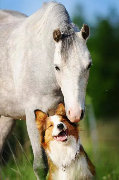 Picdump 881 - #43 