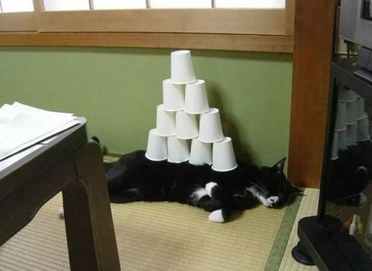 Picdump 881 - #44 