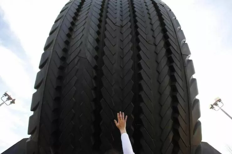 Giants among us extraordinary photos - #13 