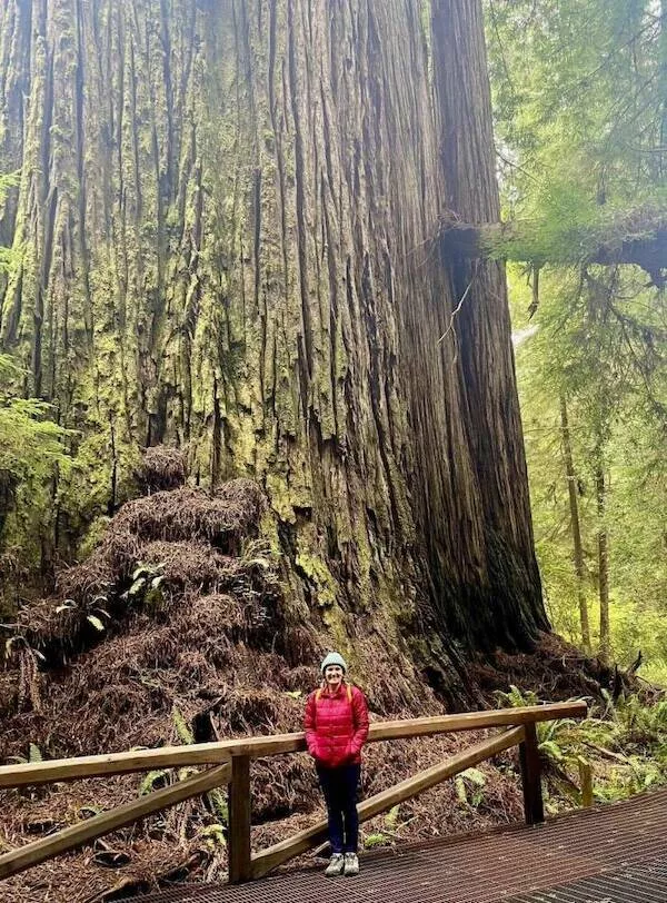 Giants among us extraordinary photos - #19 