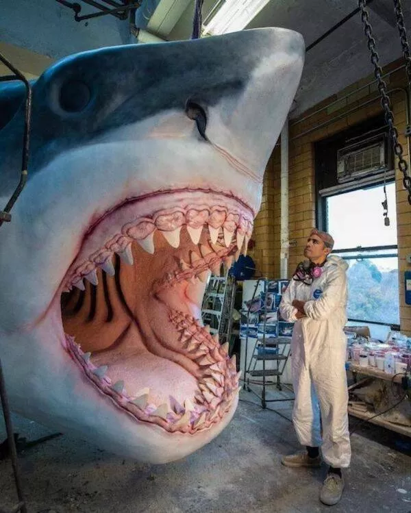 Des geants parmi nous photos extraordinaires - #23 