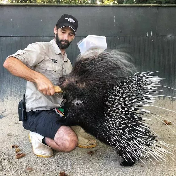 Giants among us extraordinary photos - #24 