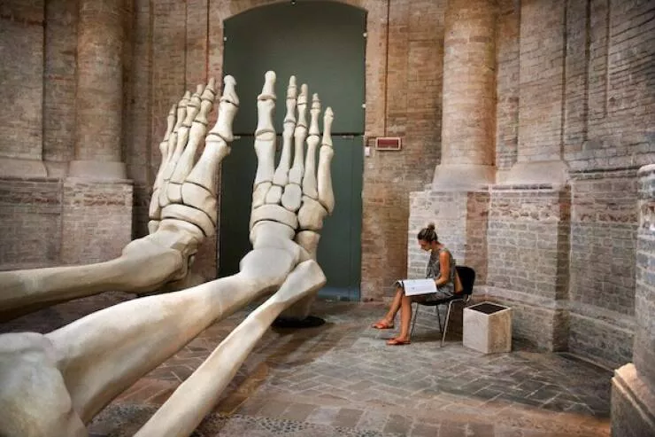 Des geants parmi nous photos extraordinaires - #28 