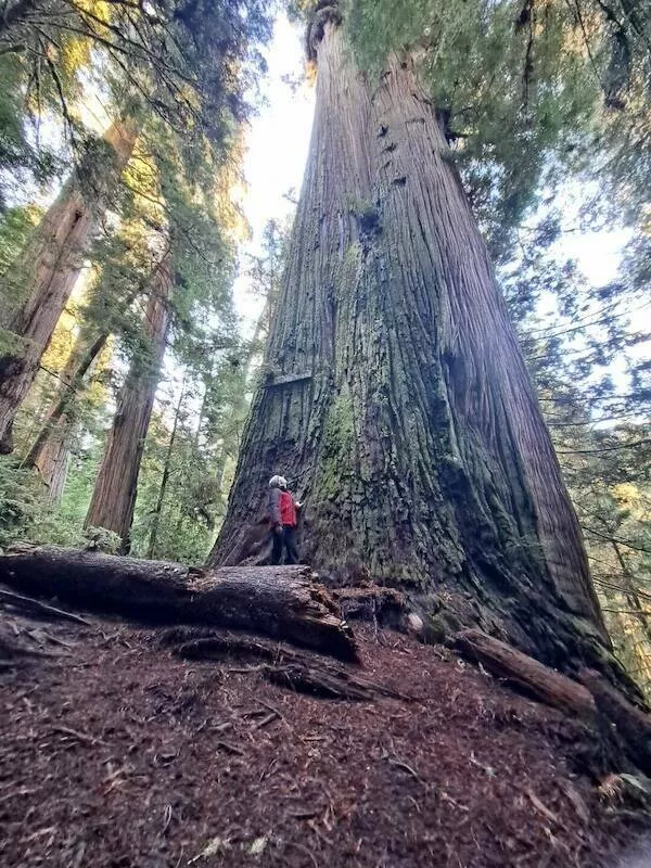 Giants among us extraordinary photos - #34 