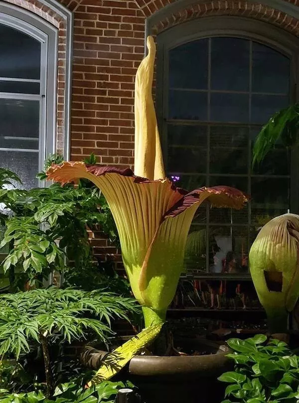 Giants among us extraordinary photos - #36 