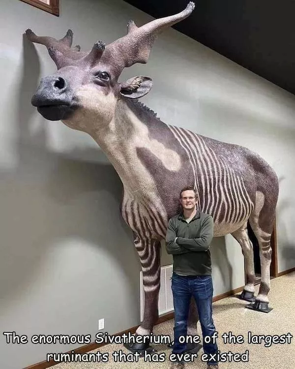 Giants among us extraordinary photos - #6 
