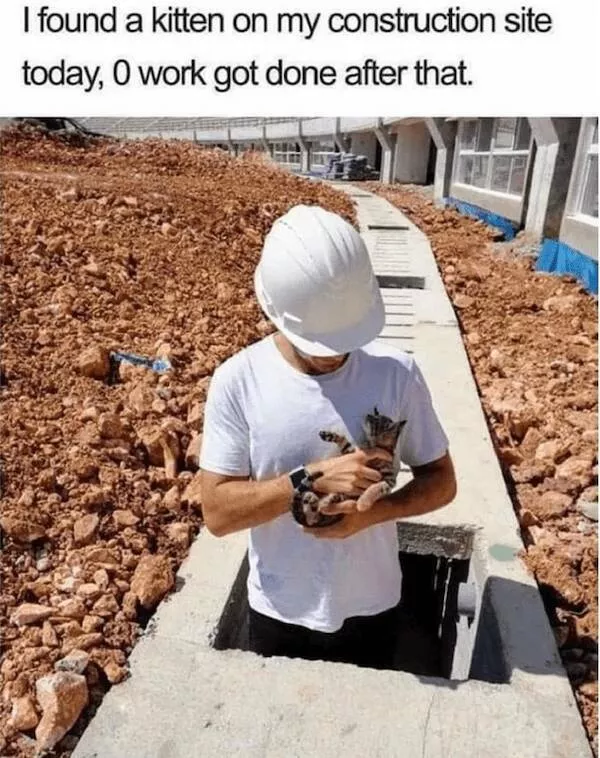 When work gets tough hilarious and relatable moments - #23 