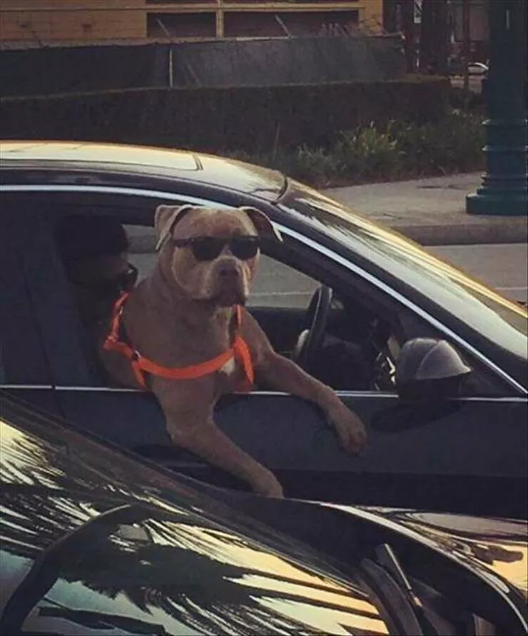 Picdump 882 - #14 
