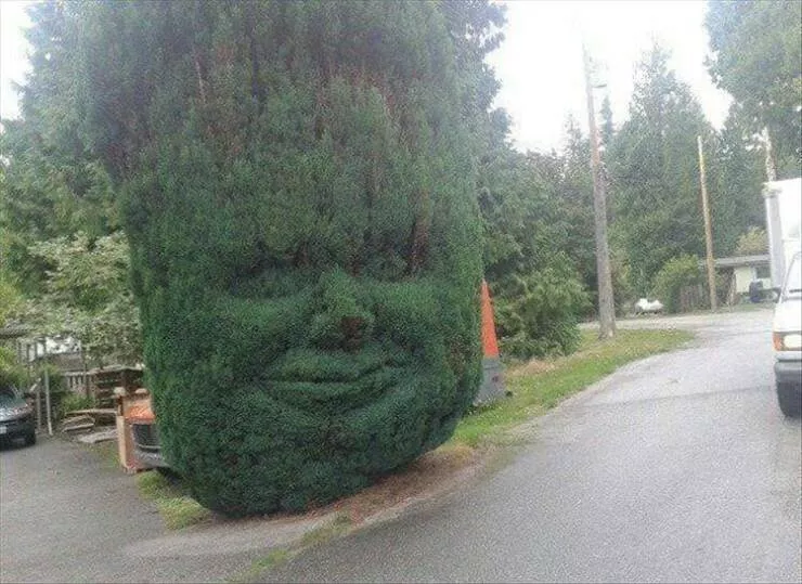 Picdump 882 - #20 