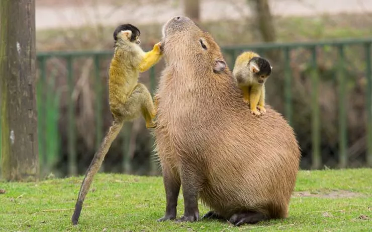 Picdump 882 - #47 