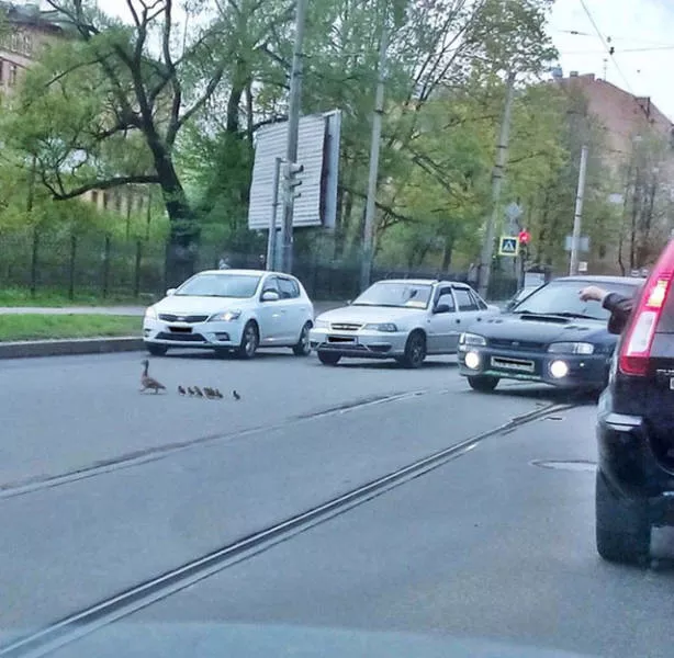 Picdump 115 - #10 