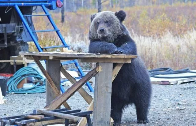 Picdump 115 - #45 