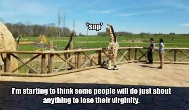 Picdump 115 - #52 