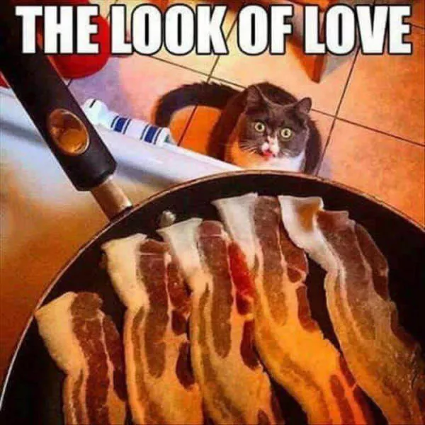 Picdump 115 - #53 