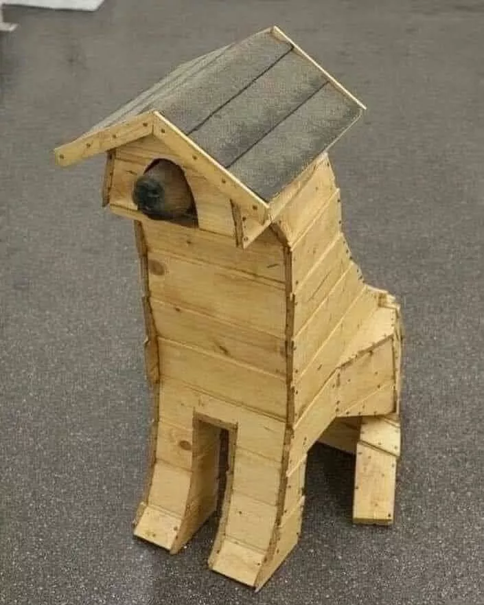 Picdump 884 - #14 