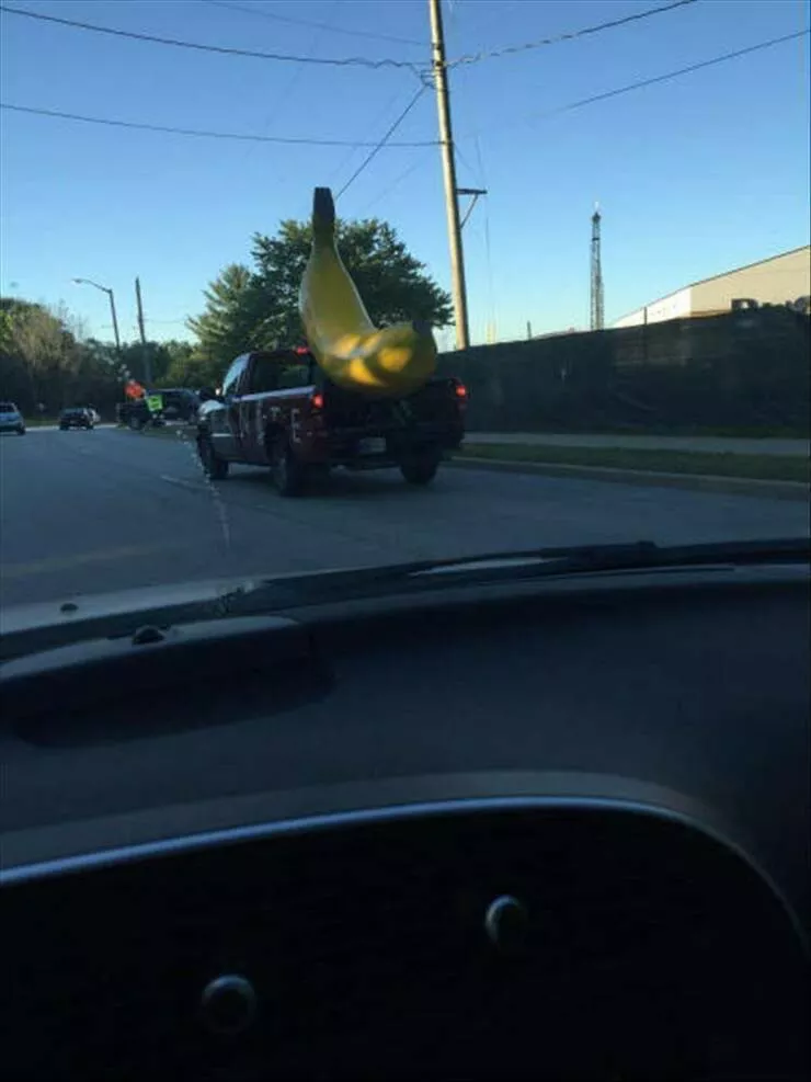 Picdump 884 - #2 
