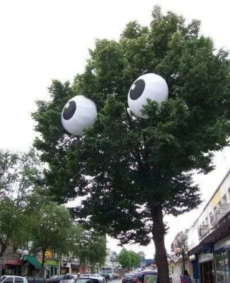 Picdump 884 - #39 