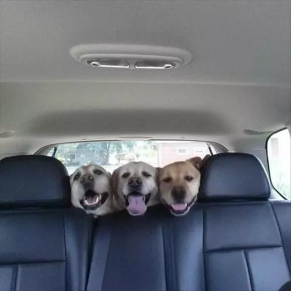 Picdump 884 - #4 