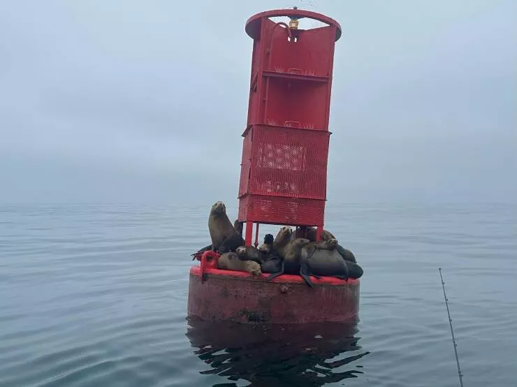 Picdump 884 - #65  Picdump 884 - #65