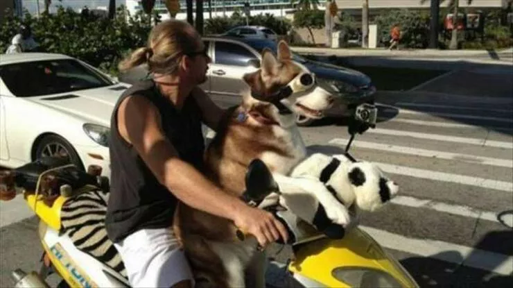 Picdump 884 - #7 